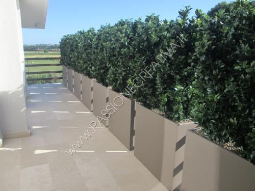 passione-creativa-Barriera_Osmanthus_artificiale